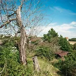 Haus Archaeopteryx - Privater Aussen-pool - Einzigartig Im Naturpark * Langenaltheim