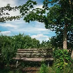 Haus Archaeopteryx - Privater Aussen-pool - Einzigartig Im Naturpark Langenaltheim