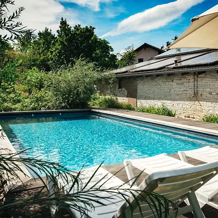 Holiday home Haus Archaeopteryx - Privater Aussen-pool - Einzigartig Im Naturpark Langenaltheim