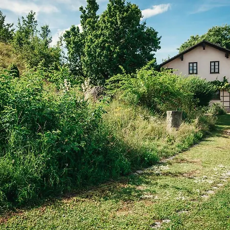 Haus Archaeopteryx - Privater Aussen-pool - Einzigartig Im Naturpark Сasa de vacaciones Langenaltheim