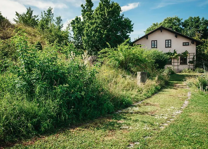 Haus Archaeopteryx - Privater Aussen-pool - Einzigartig Im Naturpark בית נופש Langenaltheim